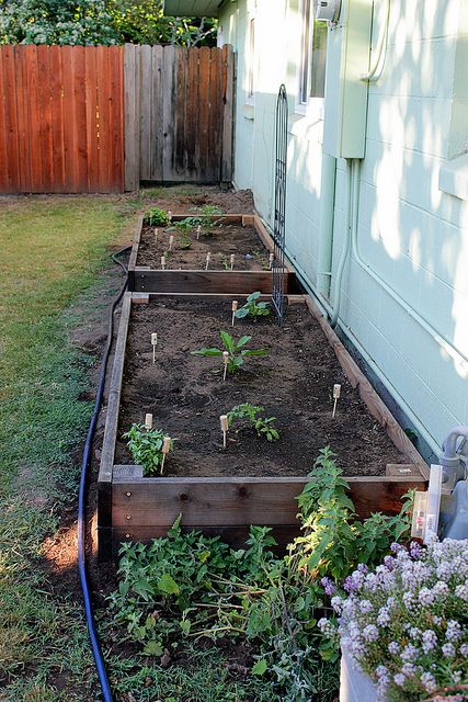 Side yard veg bed
